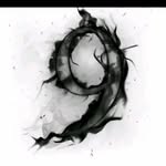 grayson singleton - @graysonsingleton177 - Instagram