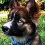 Grayson Taylor - @teaylor15 - Instagram