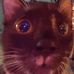 Grayson Walden - Facebook