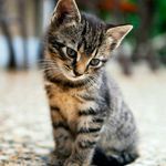 Grayson Walker - @grayson_walker810 - Instagram