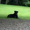 Grayson.W - @grayson.walker - TikTok