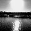 graysonwalker1235 - @graysonwalker1235 - TikTok