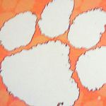 Grayson Watson - @james_that_clemson_fan - Instagram