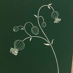 green bell - @greenbell.k.15 - Instagram