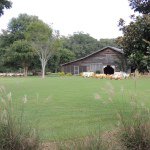 Green Bell Bed and Barn - @greenbellbedandbarn - Instagram