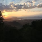 Ann Meehan-Alexander - @greergarson77 - Instagram