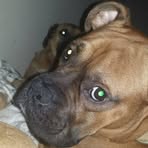 Greg Addis Jr. - Facebook