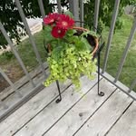 @greg_addison0 - Instagram