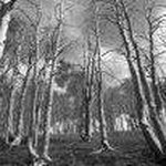 Greg Addison - @greg.addison.50 - Instagram