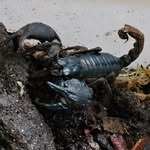 Greg Alan Rose - @spookyrose99 - Instagram