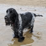 Greg Aldridge - @watchful_knight - Instagram