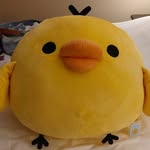 Greg-Allan - @greg.allan.the.duck2023 - Instagram