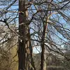 Greg Allan - @greg.allan - TikTok