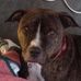 Gregory Amidon - Facebook