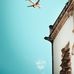 Greg Anders - Facebook
