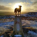 Greg Anderson - @greg.anderson74 - Instagram