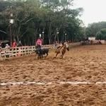 Greue Franco - @greg_andrade_ - Instagram