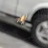 greg anton - @greg.anton - TikTok