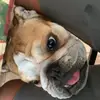greg3048 - @gregantonio1 - TikTok