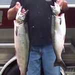 Greg Applegate - @the_fat_man - Instagram