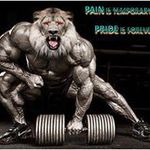 Greg Aquino - @aquinogreg - Instagram