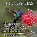Greg Aquino - @gregaquino9 - Instagram
