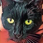 Grégory Arbogast - @greg_arbo - Instagram