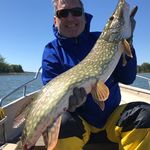 Greg Archer - @archegr - Instagram