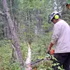gregarchie - @newerafalling - TikTok