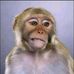 Greg Ard - Facebook