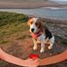 Greg Argo - Facebook