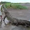 Gregorio Arguello - @gregorio.arguello3 - TikTok