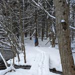 Greg Armbruster - @daftgerg - Instagram