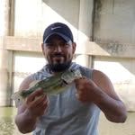 Gregory Arroyo - @gregarroyo1 - Instagram
