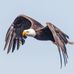 Greg Artman Photography - Facebook