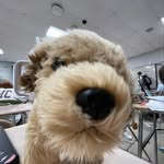 GREGARY - @rossview.gregary - Instagram