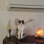 Greg Ashe - Facebook