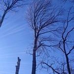 Greg Asher - @greg_asher - Instagram