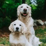 ⋙ ɢʀᴇɢ + ᴀsʜʟᴇʏ ⋘ - @greg.and.ashley - Instagram