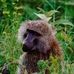 Greg Ashworth - Facebook