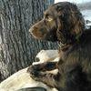 gregaskins - @greg.askins - TikTok