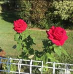 Greg Asquith - Facebook