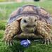 Greg Atherton - Facebook