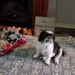Greg Atkins - @gregatkins300 - Instagram