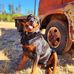 Greg Atkins - Facebook