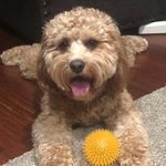 Greg Augustine - @greg.augustine.79 - Instagram