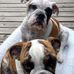 Greg Baer - Facebook