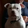 Greg - @greg.baer72 - TikTok