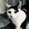 gregbaermdrelatio - @gregbaermdrelatio - TikTok