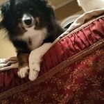 Greg Baird - @baird001 - Instagram